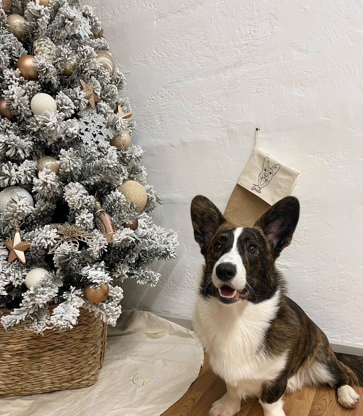 Dit dyr på julesok