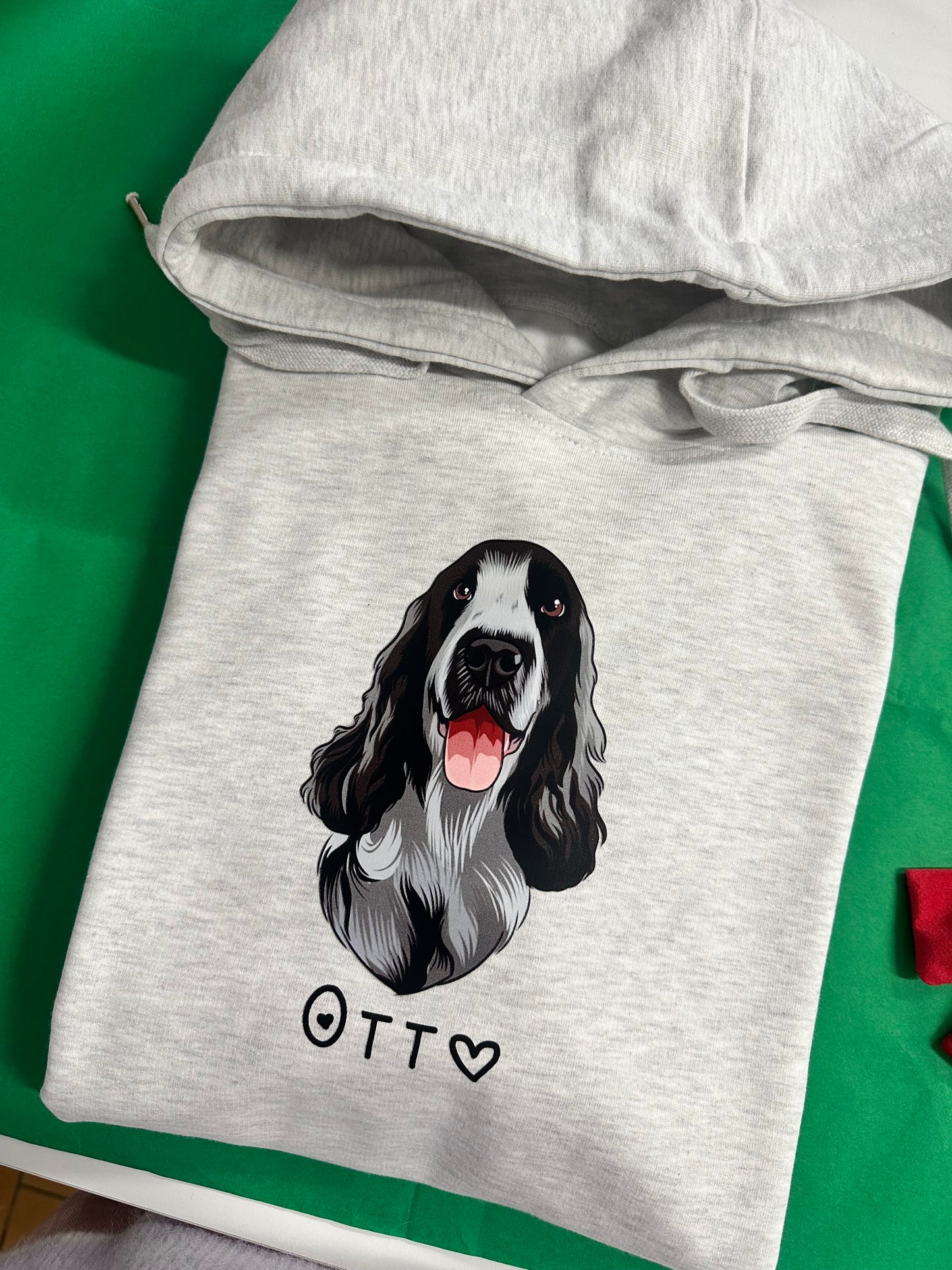 Dit dyr på hoodie
