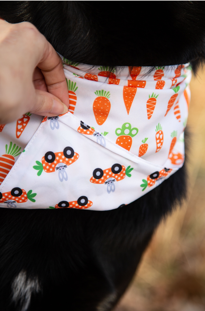 Påske Bandana - Carrot-ride (Vendbar)