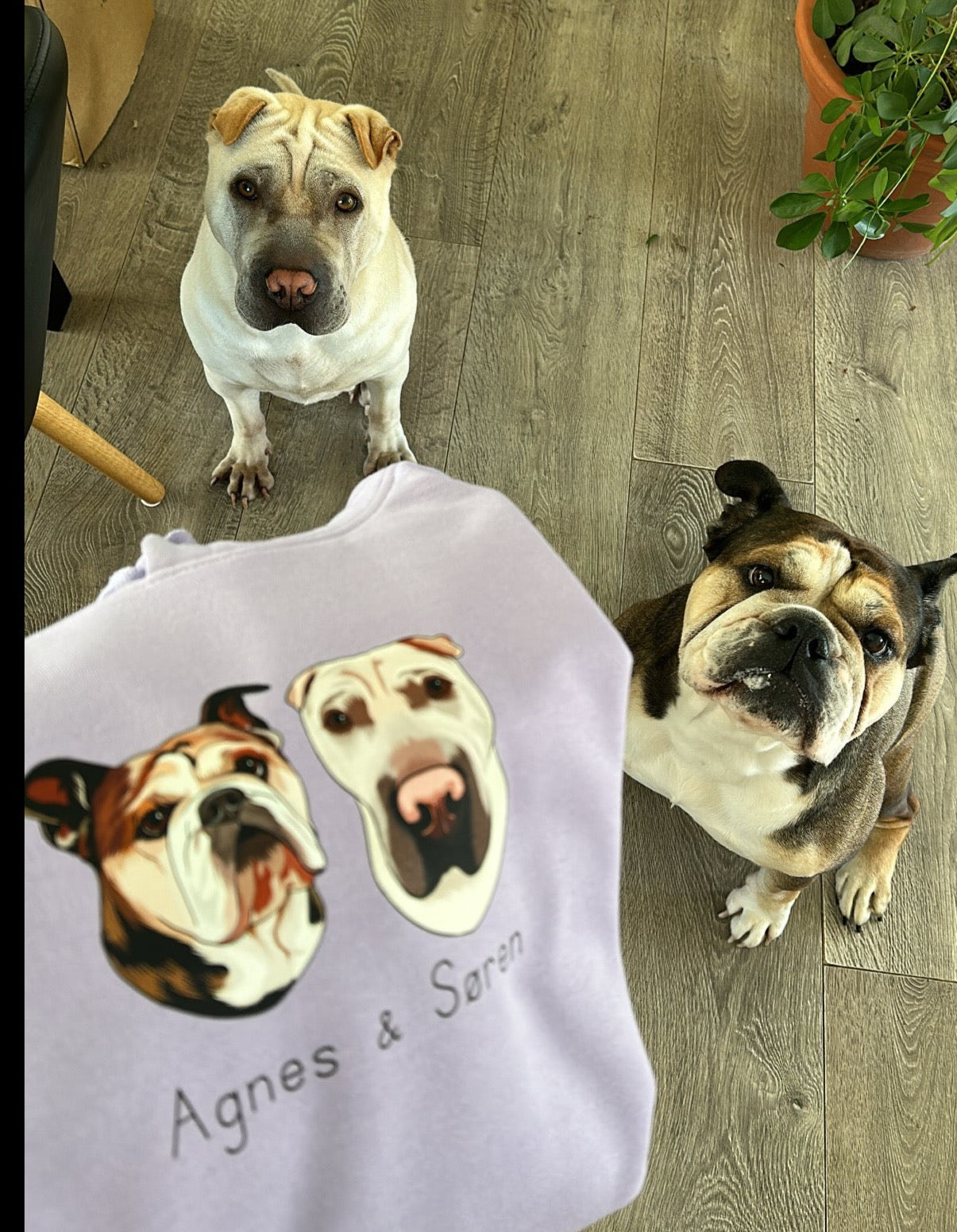 Dit dyr på hoodie